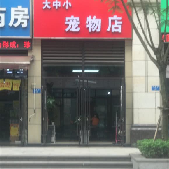 大中小宠物店:重庆城区九龙坡区巴国城附近