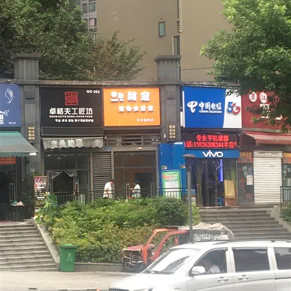 甜宠宠物生活馆(中交丽景店):重庆城区九龙坡区巴国城附近