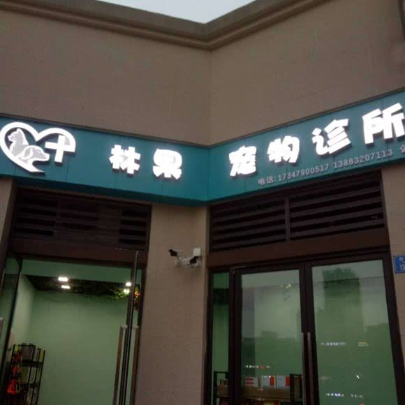 林果宠物医院:重庆城区九龙坡区开发区附近