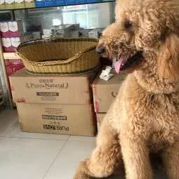 宠爱它:重庆城区九龙坡区动物园附近