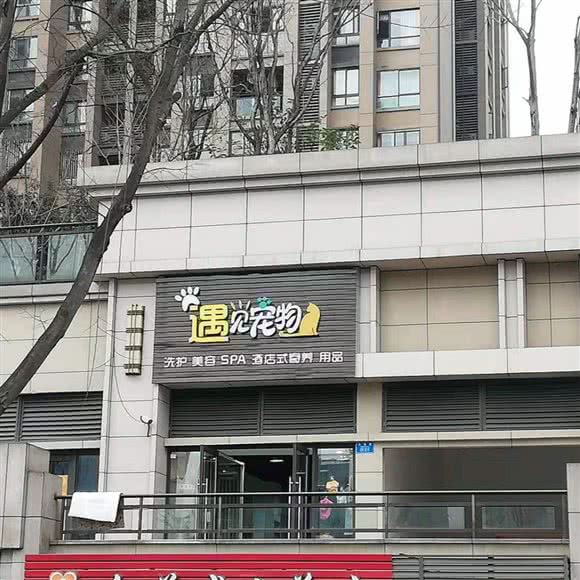 遇见宠物:重庆城区九龙坡区动物园附近