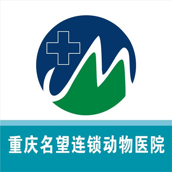 名望动物医院·猫科·内科·影像科(二郎分院):重庆城区九龙坡区二郎附近