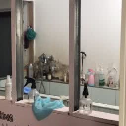 宠屋star—专业宠物养护:重庆城区九龙坡区白市驿附近