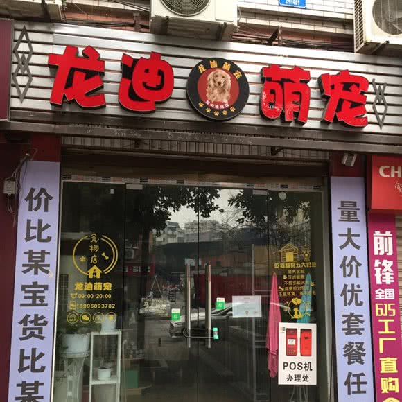 龙迪萌宠(东大街店):重庆城区九龙坡区西彭附近
