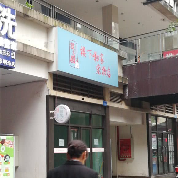 楼下嘞家宠物店:重庆城区南岸区南坪附近