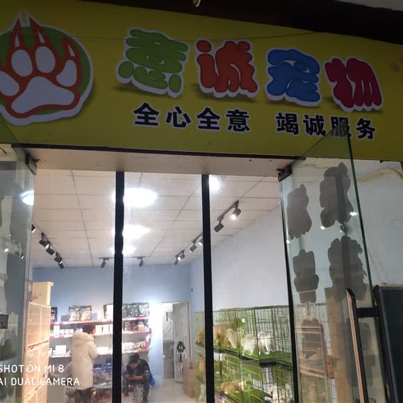 意诚宠物:重庆城区南岸区南坪附近