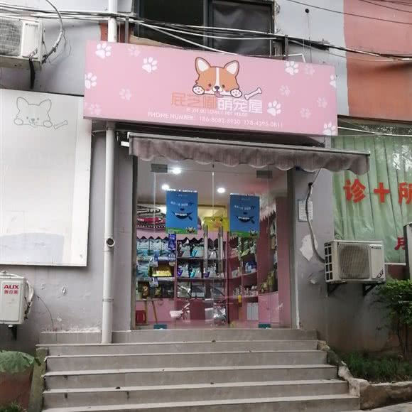 屁芝嘟萌宠屋:重庆城区南岸区南坪附近