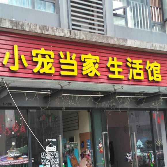 小宠当家:重庆城区南岸区南坪附近