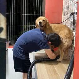 芒果果宠物俱乐部:重庆城区南岸区南坪附近