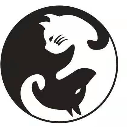 I??PET宠物酒店:北京城区朝阳区安贞附近