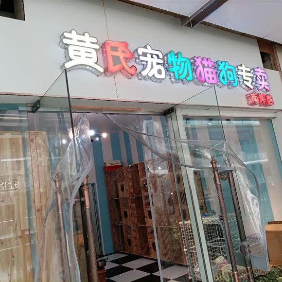 黄氏宠物猫狗专卖店(前坪店):重庆城区南岸区南坪附近