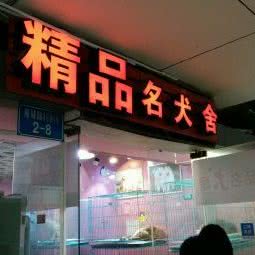 精品名犬舍:重庆城区南岸区南坪附近