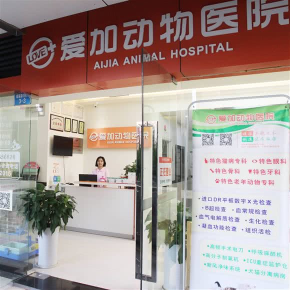 爱加动物医院(南坪店):重庆城区南岸区南坪附近