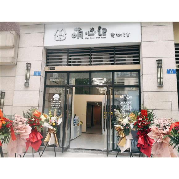 萌心记宠物馆:重庆城区南岸区南滨路附近