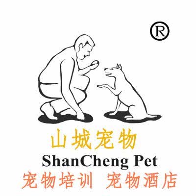 山城宠物培训学校:重庆城区南岸区黄桷垭/南山附近