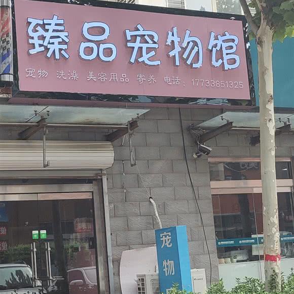 臻品宠物馆:石家庄市长安区桃园附近