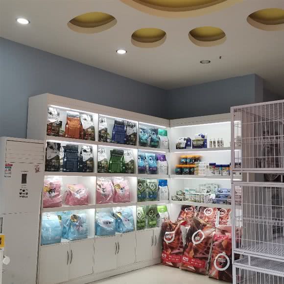 西萌宠物:重庆城区南岸区弹子石附近