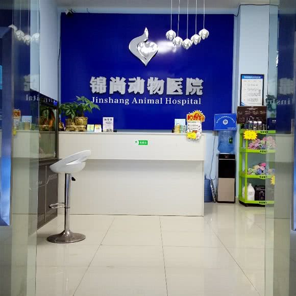锦尚动物医院:重庆城区南岸区弹子石附近