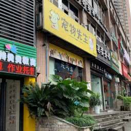 宠物老先生:重庆城区南岸区福利社附近