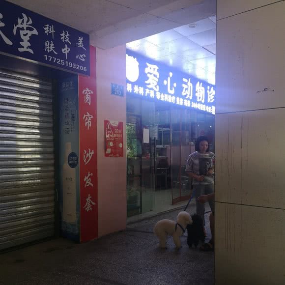 爱心动物诊所:重庆城区南岸区上新街附近