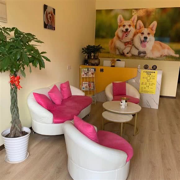 花森林宠物:重庆城区南岸区茶园新区附近