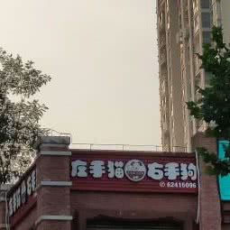 左手猫右手狗:重庆城区南岸区茶园新区附近