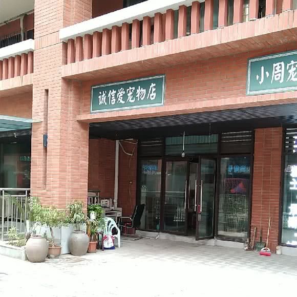诚信宠物店:重庆城区北碚区老城区/天奇广场附近