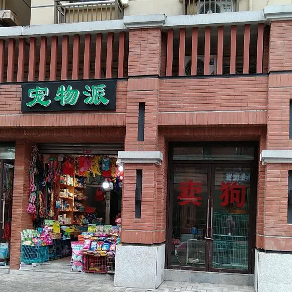 宠物派:重庆城区北碚区老城区/天奇广场附近