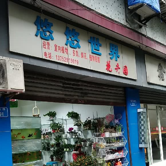 悠悠世界:重庆城区北碚区老城区/天奇广场附近