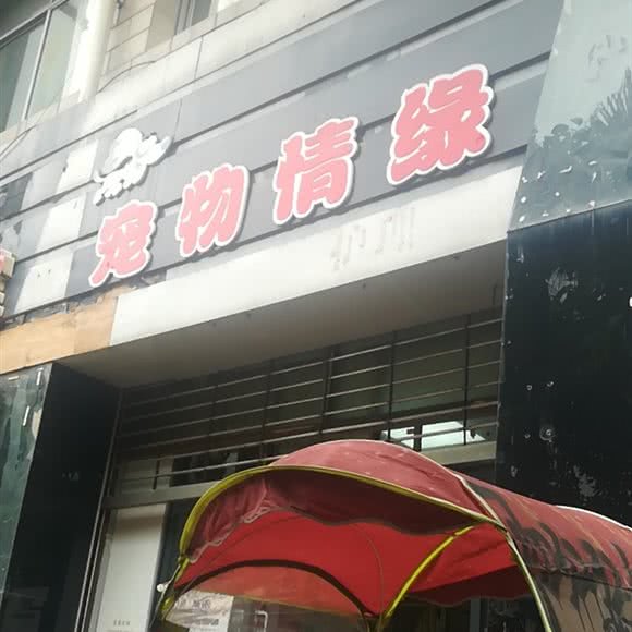 宠物情缘:重庆城区北碚区老城区/天奇广场附近