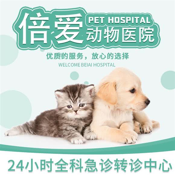 倍爱动物医院:重庆城区北碚区北碚城南附近