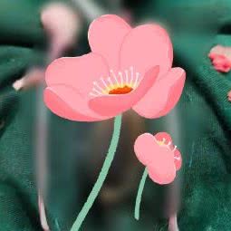 双柏宠物诊所:重庆城区北碚区北碚城南附近