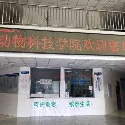 西南大学动物医院:重庆城区北碚区北碚城南附近