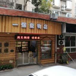 一个宠物店:重庆城区北碚区北碚城北/九号好吃街附近