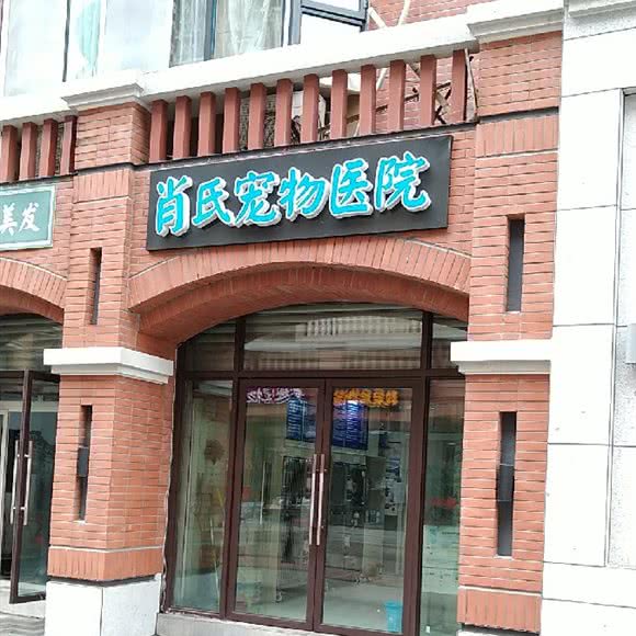 肖氏宠物诊所:重庆城区北碚区北碚正码头附近