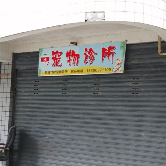 宠物诊所:重庆城区北碚区歇马附近