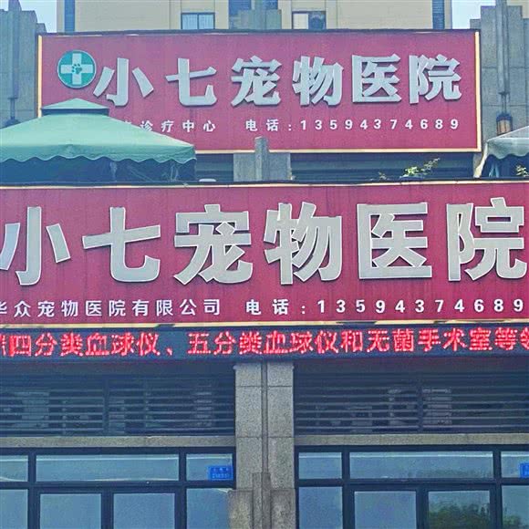 小七宠物医院:重庆城区北碚区蔡家附近