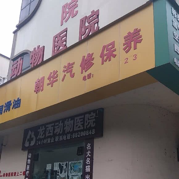 龙西动物医院:重庆城区北碚区龙凤桥附近