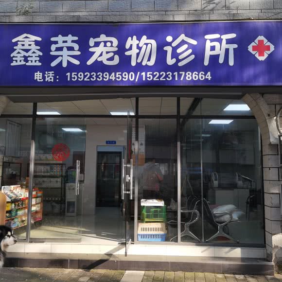 鑫荣宠物诊所:重庆城区北碚区双柏树高速路口附近