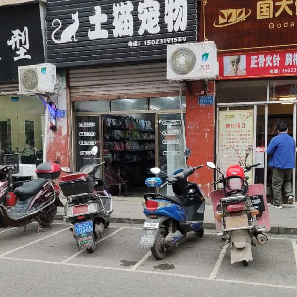 土猫宠物:重庆城区大足区大足区附近