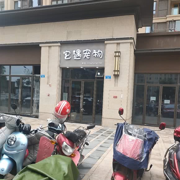 它遇宠物:重庆城区大足区大足区附近