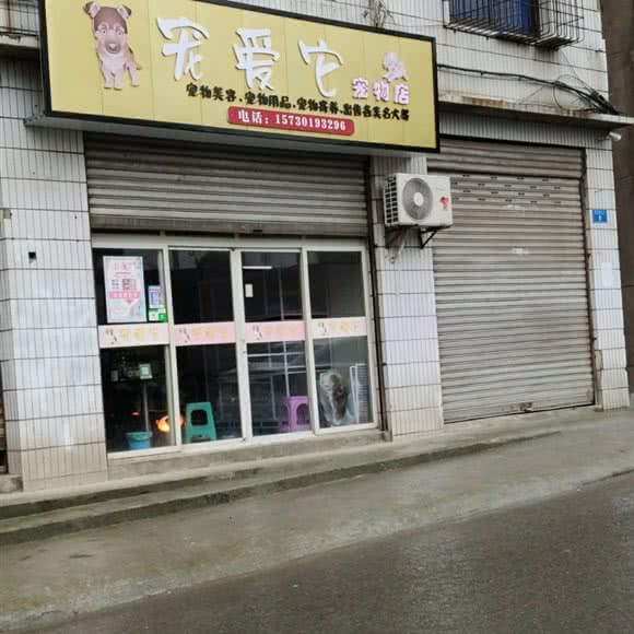 宠爱它宠物店:重庆城区大足区大足区附近