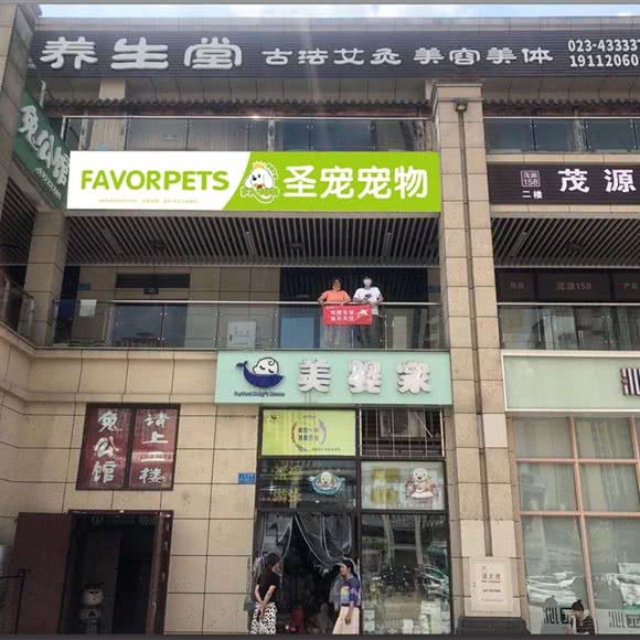 FAVORPETS圣宠宠物(大足金科店):重庆城区大足区大足区附近