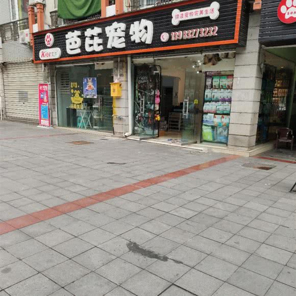艾尔芭芘宠物:重庆城区大足区大足区附近