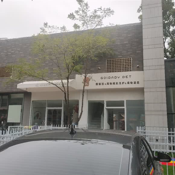 撸猫馆:重庆城区大足区大足区附近