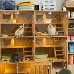 元气宠物:重庆城区大足区大足区附近