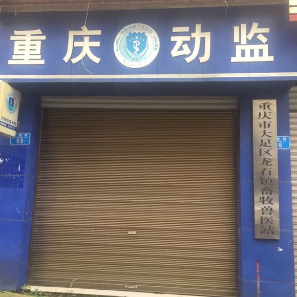 龙石镇畜牧兽医站:重庆城区大足区大足区附近