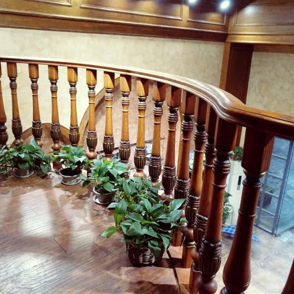 小丹家宠物美容(汽博店):重庆城区渝北区北部新区附近