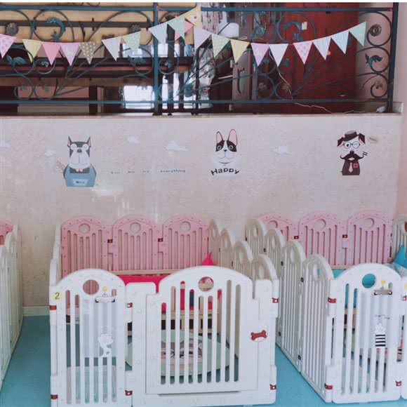 天照宠屋(蓝湖郡店):重庆城区渝北区北部新区附近