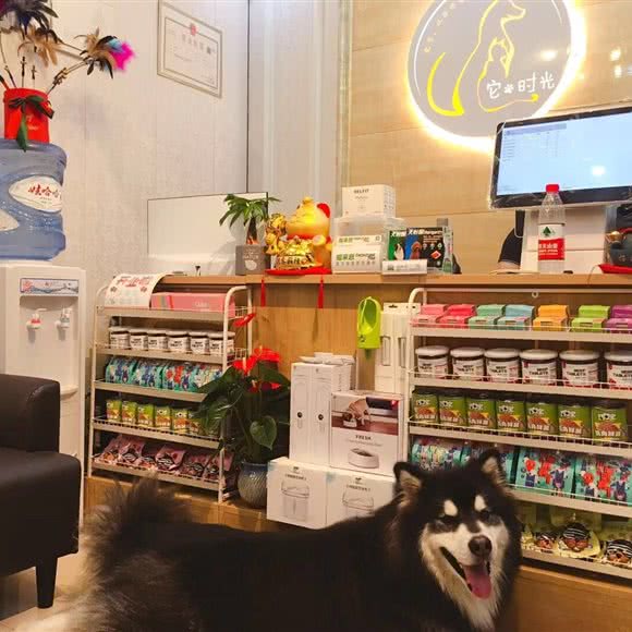 它·时光宠物狗生活馆:重庆城区渝北区北部新区附近